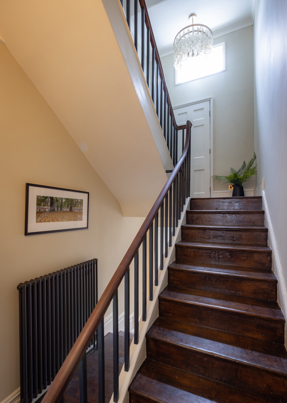 Stairs from hall